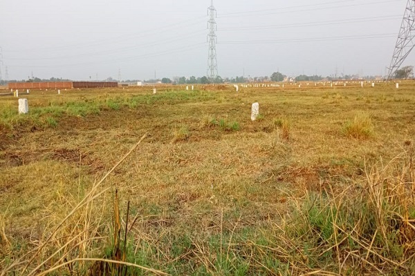 Project Gallery Image