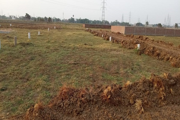 Project Gallery Image