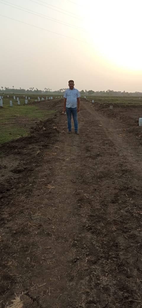 Project Gallery Image